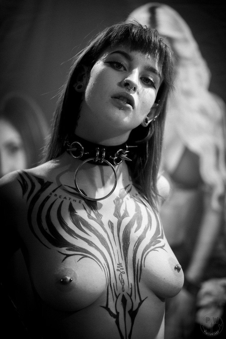 Venus Berlin 2023