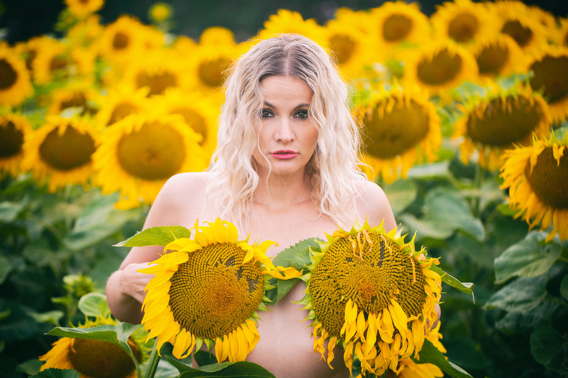 Sun flowers with Caalanie