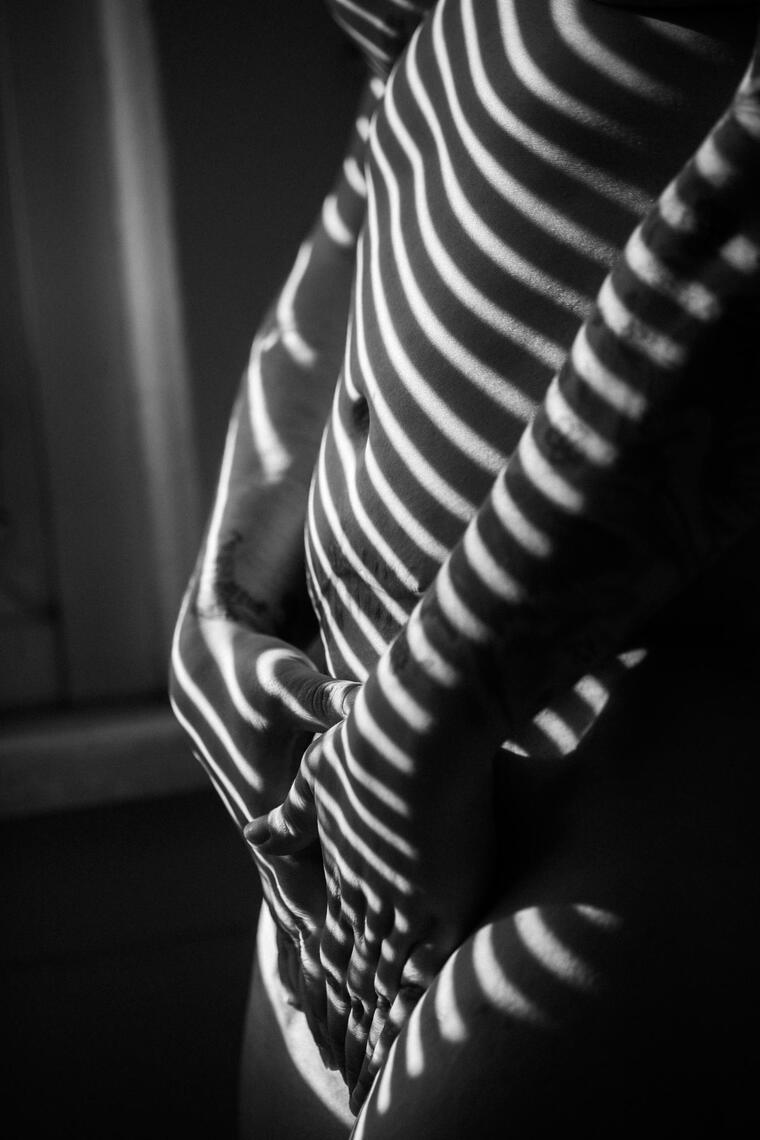 Sonnenzebra Sonnenzebra